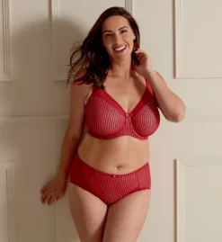 Berlei Beauty Stripe Deep Brief Panty B543 -Wacoal Store berlei berl01 b543 cs4