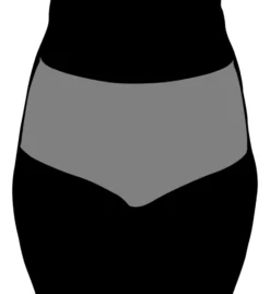 Body Hush Magnifique Sensuelle Shaping Panty BH1701 -Wacoal Store body hush bh01 bh1701 cs1