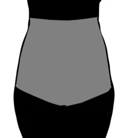 Body Hush Magnifique Icon High Waist Shaping Panty BH1706 -Wacoal Store body hush bh01 bh1706 cs1