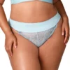 Elila Microfiber & Lace Tanga Panty 3903