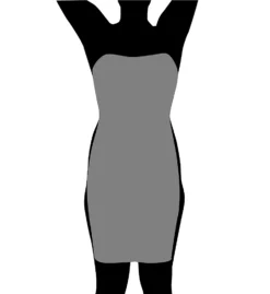 InstantFigure Strapless Tube Slip Dress With Clear Bra Straps WTS034 -Wacoal Store instantfigure insf01 wts034 cs6