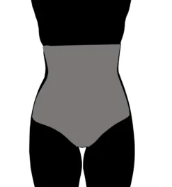 Miraclesuit Sheer Shaping Hi-Waist Thong 2778 -Wacoal Store miraclesuit mira01 2778 cs2