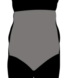 Miraclesuit Sheer Shaping Hi-Waist Brief 2785 -Wacoal Store miraclesuit mira01 2785 cs1