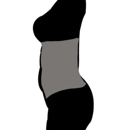 Squeem Perfectly Curvy Contouring Waist Trainer 26PW -Wacoal Store squeem sqm001 26pw cs1