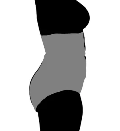 Squeem Perfectly Curvy Waist Trainer Shaping Brief 26RS -Wacoal Store squeem sqm001 26rs cs2