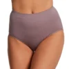 Vanity Fair Smoothing Comfort Seamless Brief Panty 13264